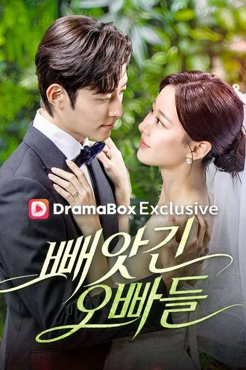 빼앗긴 오빠들 포스터