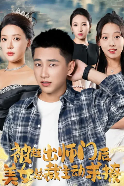 《被赶出师门后，美女总裁主动求撩》海报