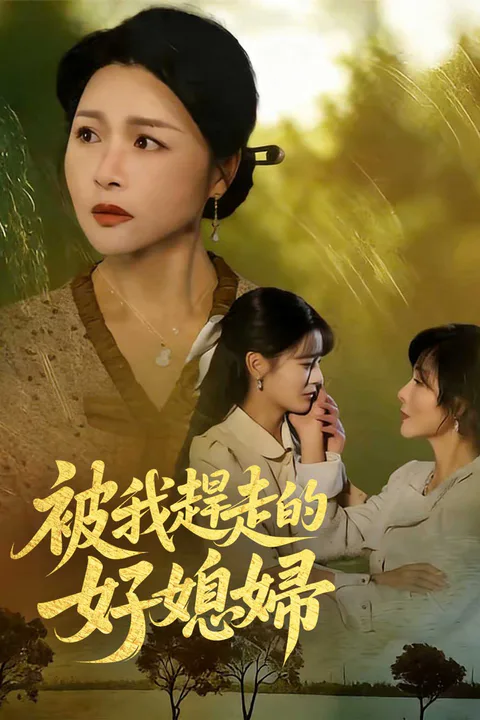 《被我趕走的好媳婦》海報