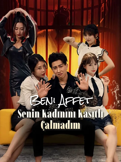 Beni Affet, Senin Kadınını Kasıtlı Çalmadım afişi