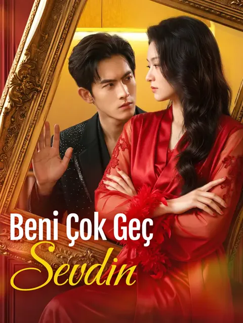Beni Çok Geç Sevdin afişi