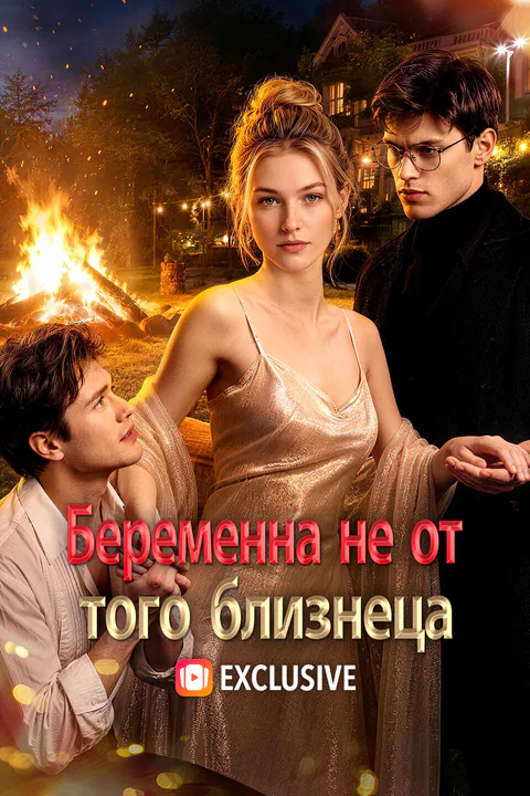 Постер «Беременна не от того близнеца»