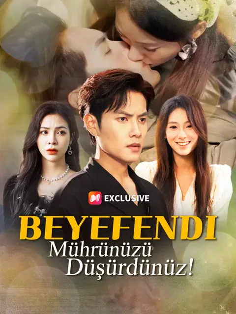 Beyefendi, Mührünüzü Düşürdünüz! afişi
