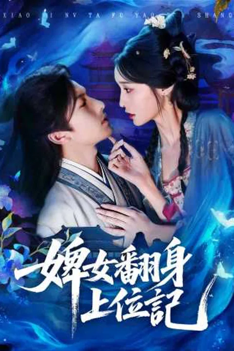 《婢女翻身上位記》海報