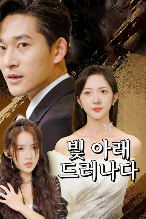 빛 아래 드러나다 포스터