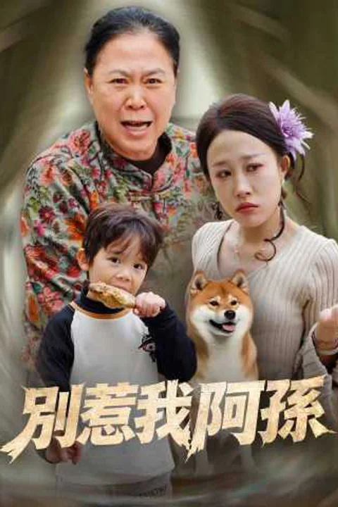 《別惹我阿孫》海報