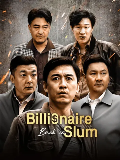Billionaire Back in Slum poster
