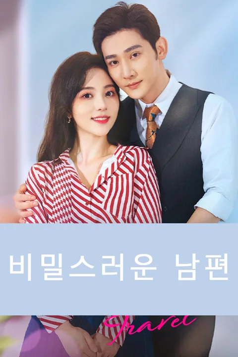 비밀스러운 남편 포스터