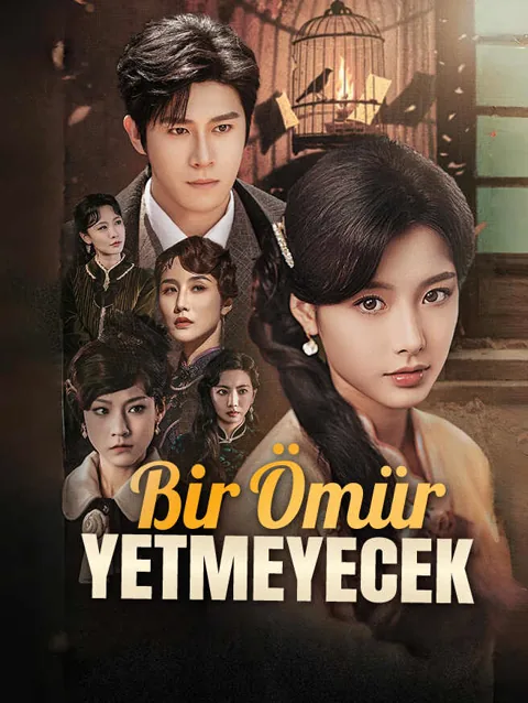 Bir ömür Yetmeyecek afişi