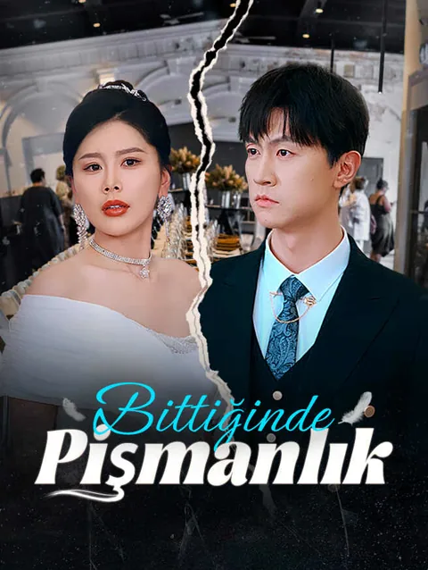 bittiğinde pişmanlık afişi