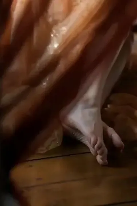 복수하는 황후의 애가 포스터