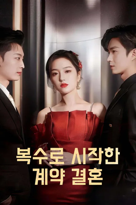 복수로 시작한 계약 결혼 포스터