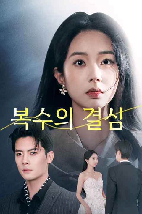 복수의 결심 포스터