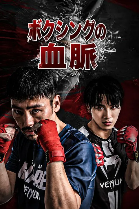ボクシングの血脈のポスター