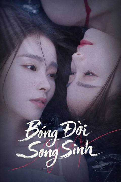 Poster Bóng Đời Song Sinh