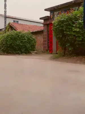 Boşandıktan Sonra Kopyalama Sistemim Oldu afişi