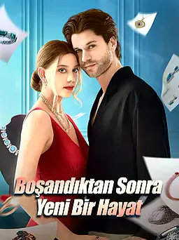 Boşandıktan Sonra Yeni Bir Hayat afişi