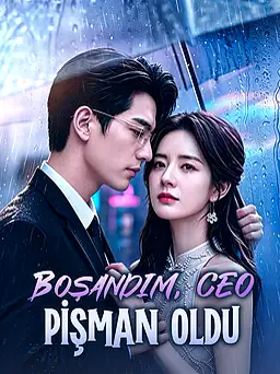 Boşandım, CEO Pişman Oldu afişi