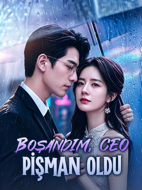 Boşandım, CEO Pişman Oldu afişi
