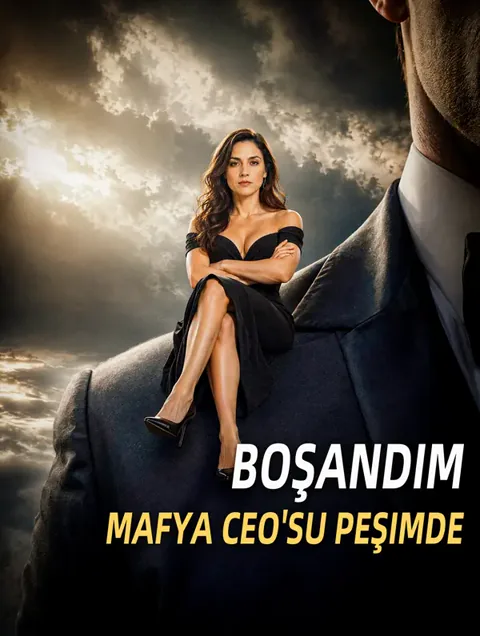 Boşandım, Mafya CEO'su Peşimde afişi
