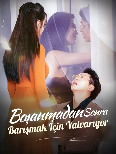 Boşanmadan Sonra Barışmak İçin Yalvarıyor afişi