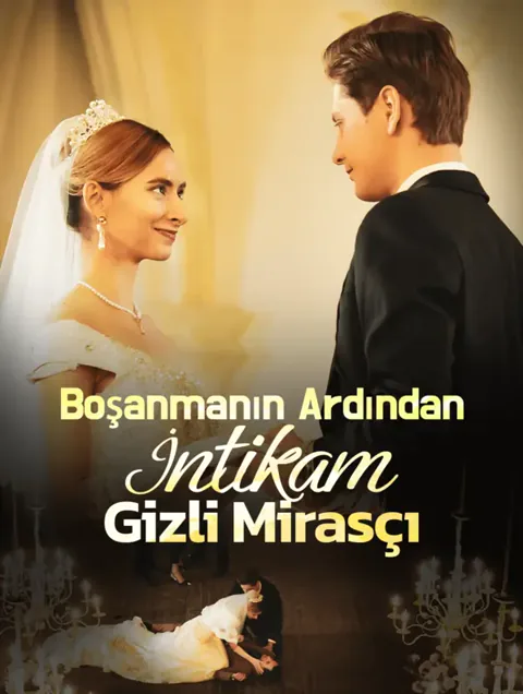 Boşanmanın Ardından İntikam: Gizli Mirasçı afişi