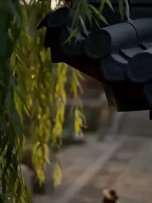 Boşanmış eşin şanslı sarayı afişi