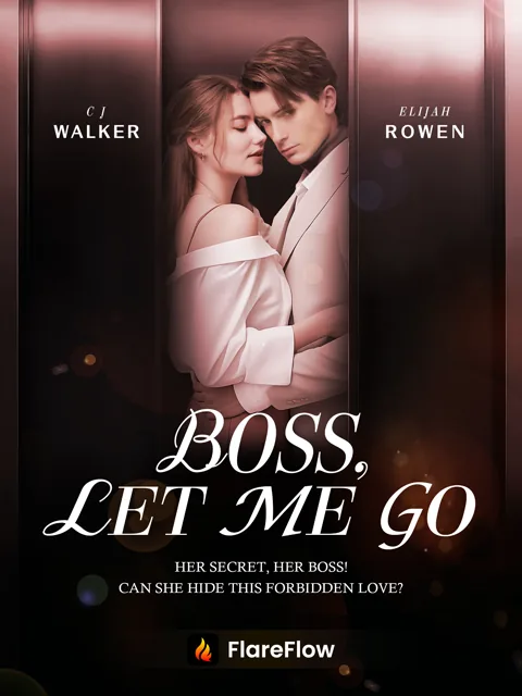 Boss Let Me Go poster