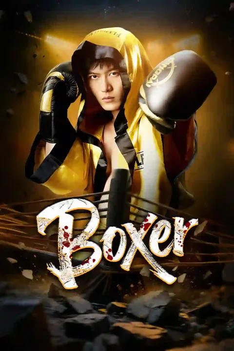 Affiche de Boxer