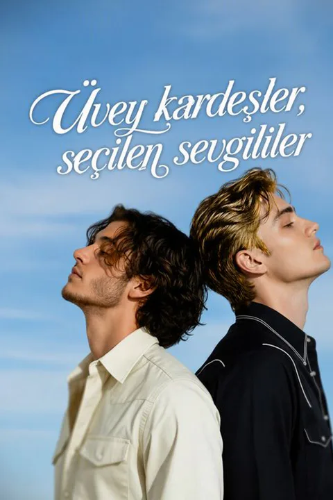 Brothers by Chance, Lover by Choice poster
