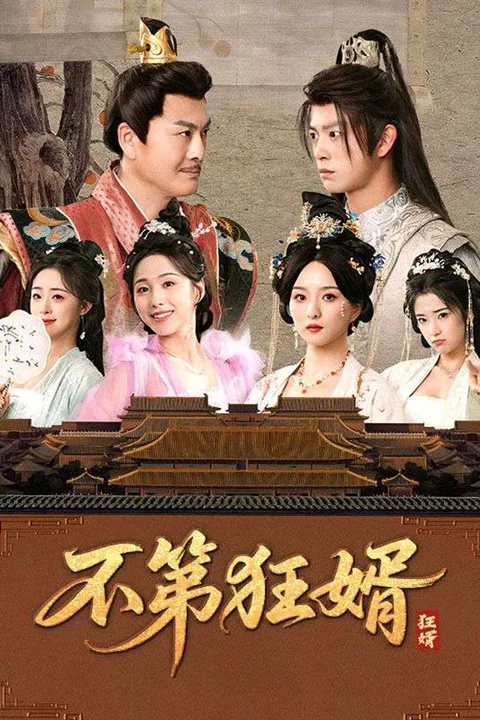 《不第狂婿》海報