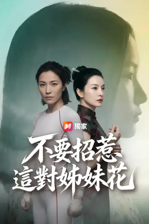 《不要招惹這對姊妹花》海報