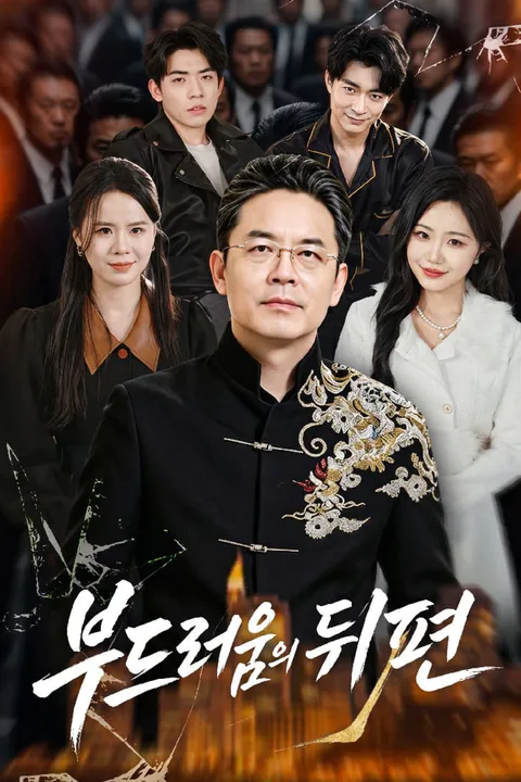 부드러움의 뒤편 포스터