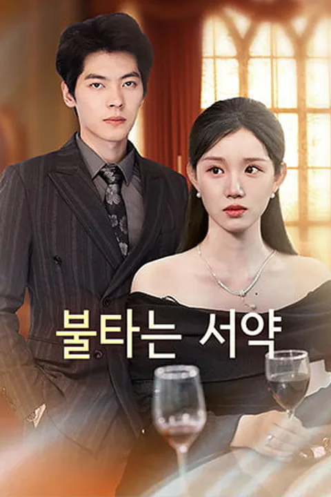 불타는 서약 포스터