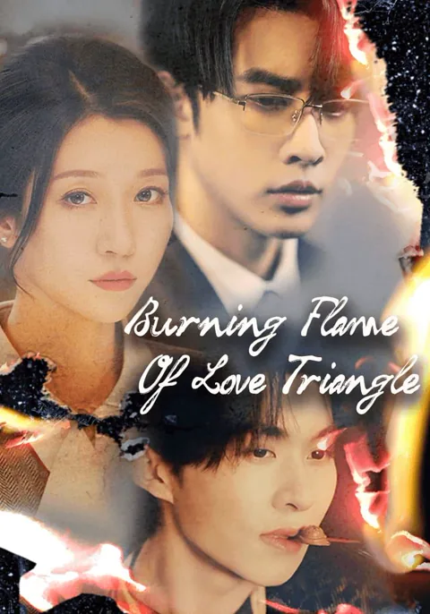 Burning Flame of Love Triangle poster