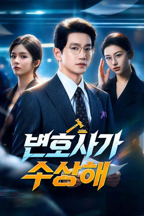 변호사가 수상해 포스터