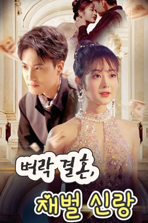 벼락 결혼, 재벌 신랑 포스터