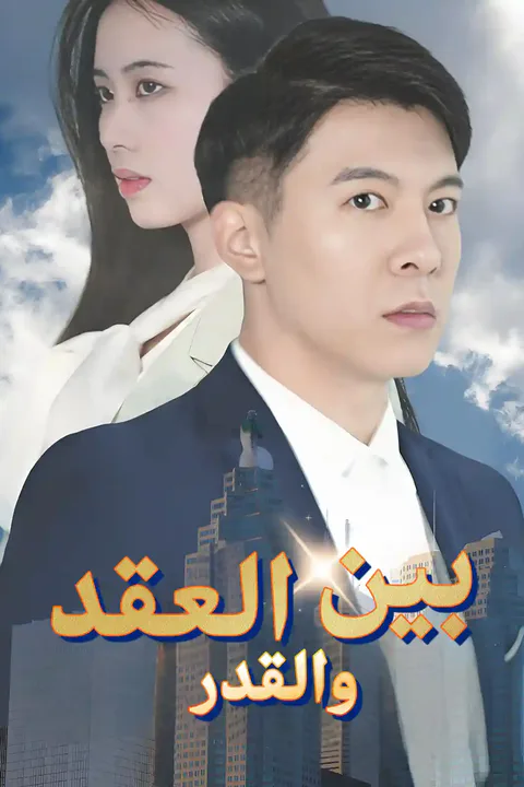 ملصق بين العقد والقدر