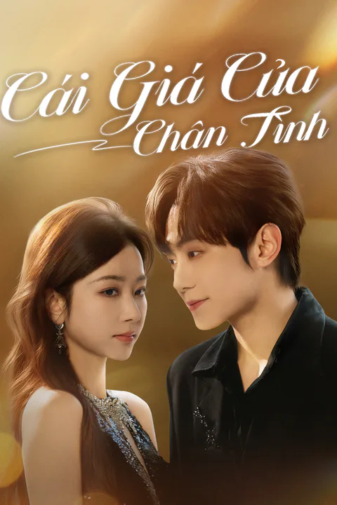 Poster Cái Giá Của Chân Tình