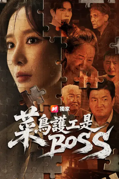《菜鳥護工是BOSS》海報