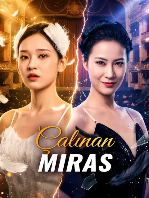 Çalınan Miras afişi