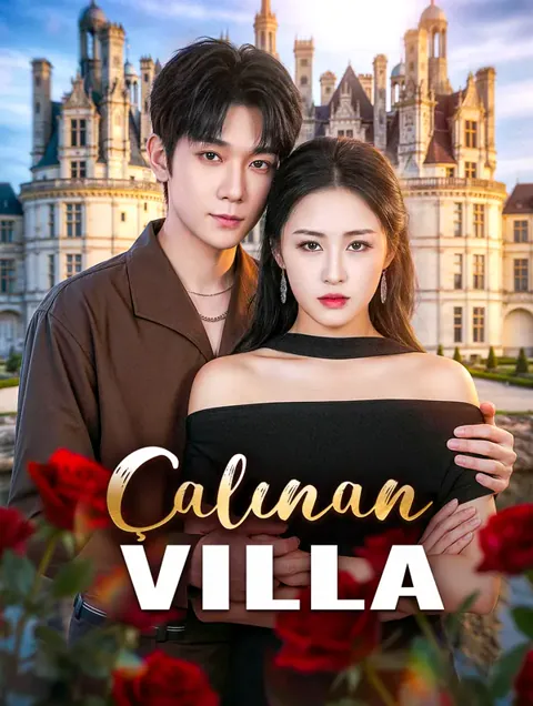 Çalınan Villa afişi