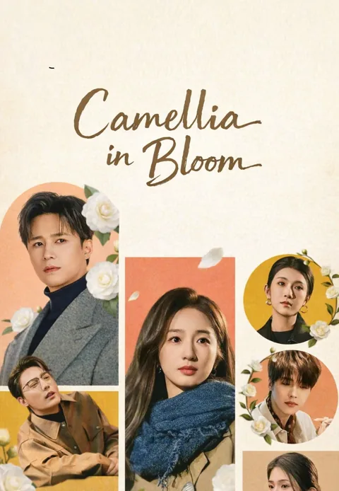 Camellia in Bloom poster