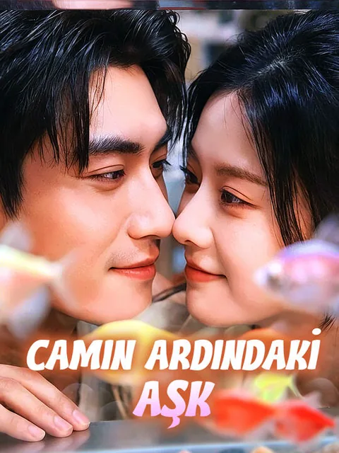 Camın Ardındaki Aşk afişi