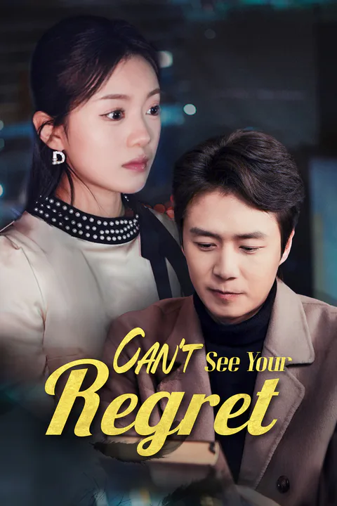 Can't See Your Regret poster