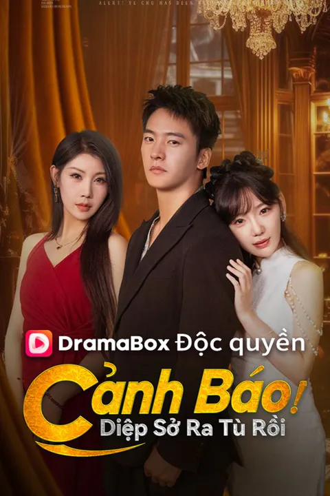 Poster Cảnh Báo! Diệp Sở Ra Tù Rồi