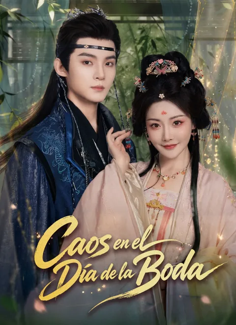 Póster de Caos en el Día de la Boda