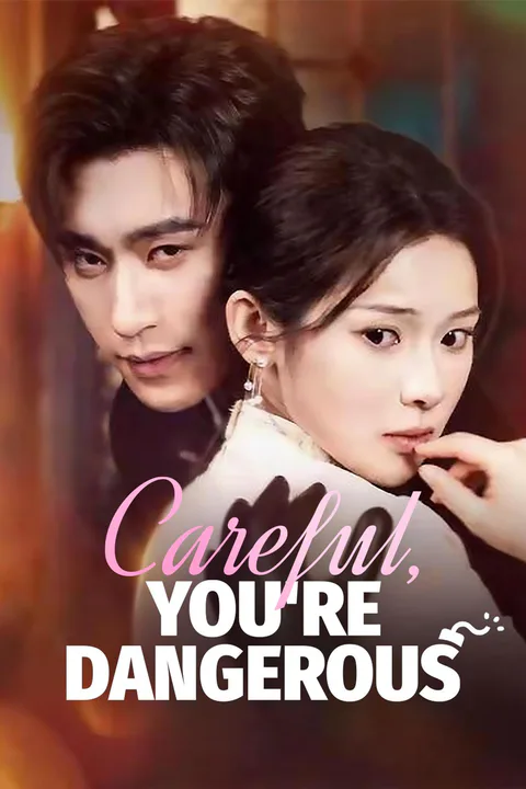 Careful, You're Dangerous poster