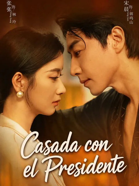 Póster de Casada con el Presidente