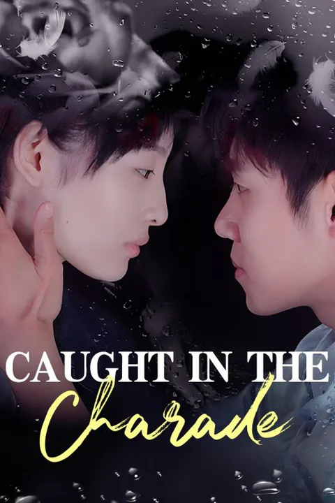 Caught in the Charade poster